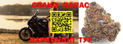 не бодяженный Будённовск