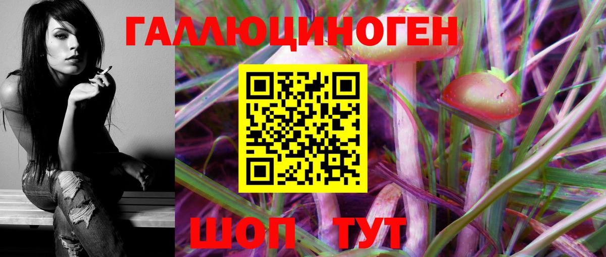 Галлюциногенные грибы Psilocybine cubensis  Вход с VPN  Королёв 
