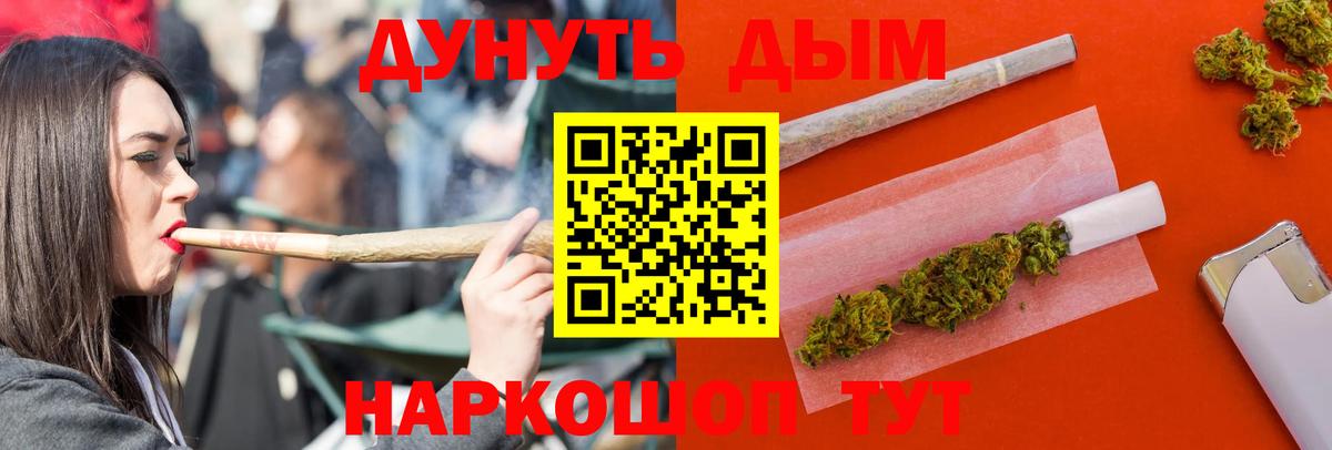 Каннабис гибрид Королёв